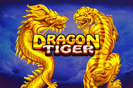 Dragon Tiger Slot